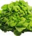 Bio-Blattsalat