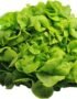 Bio-Blattsalat