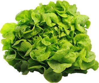 Bio-Blattsalat
